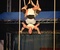 foto: Jitka Nováková | 23. srpna 2017 | Náměstí Míru | Cirkus TeTy: Husí krky