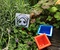 Foto: Pavla Zandlová | 18. 7. 2016 |Otevřená knihovní zahrada